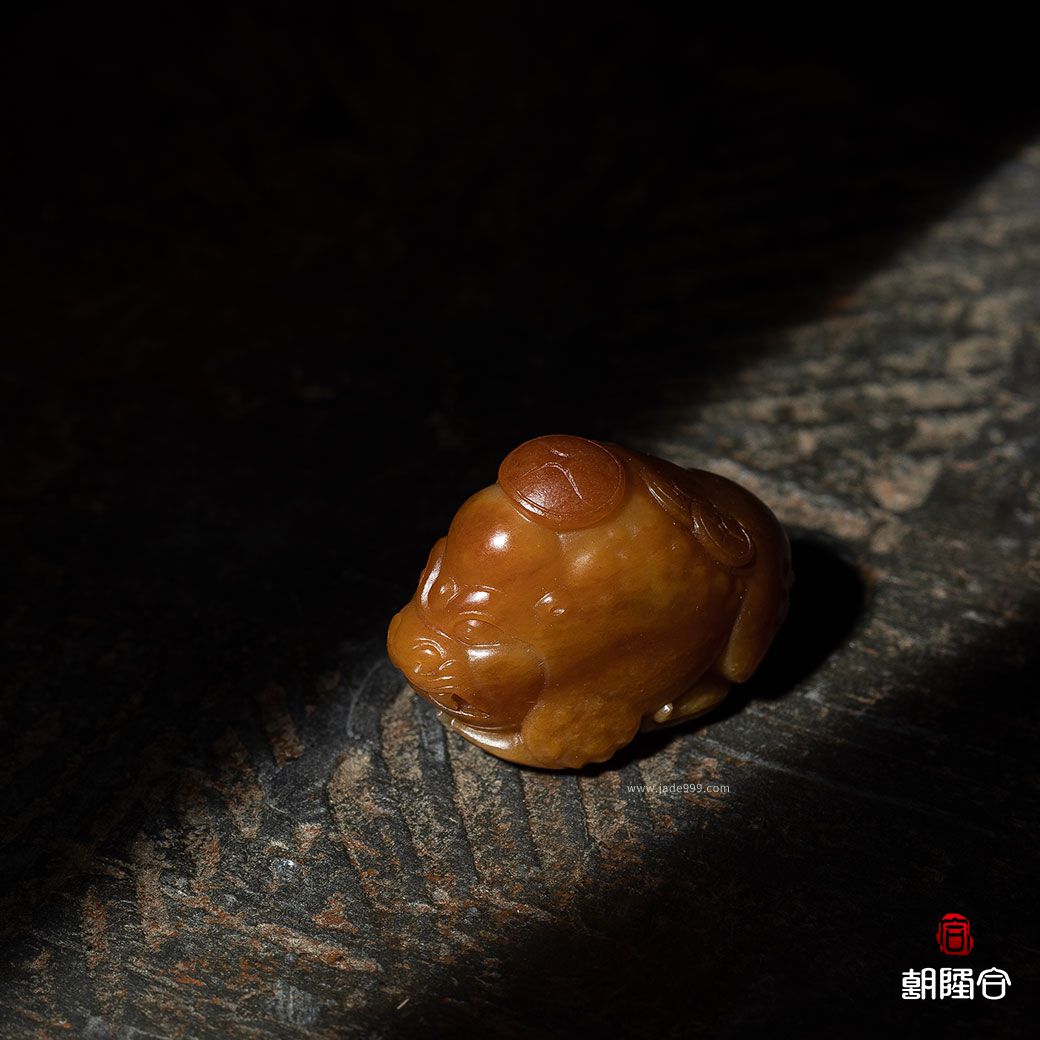 精品金錢(qián)纏身